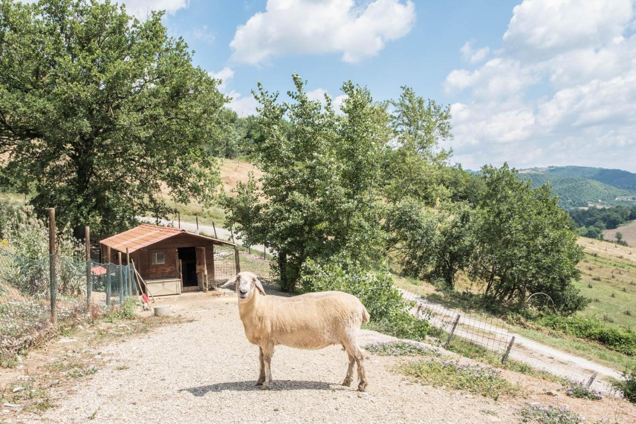 Agriturismo Goccia Di Luna Umbertide Buitenkant foto