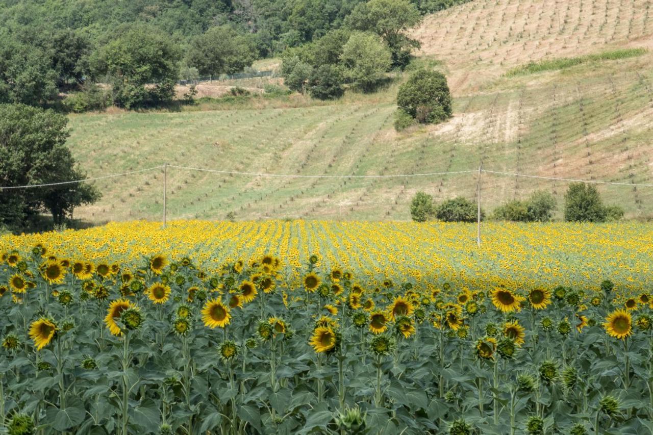 Agriturismo Goccia Di Luna Umbertide Buitenkant foto