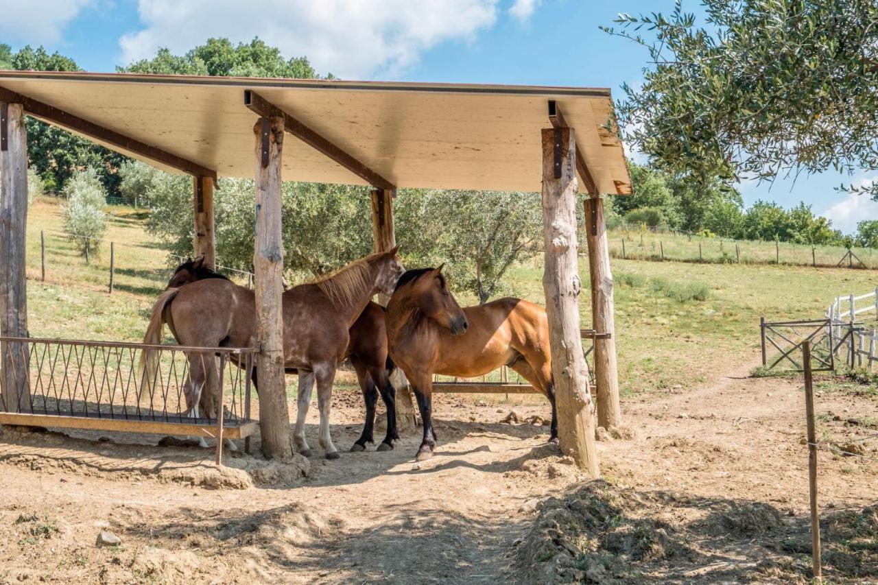 Agriturismo Goccia Di Luna Umbertide Buitenkant foto