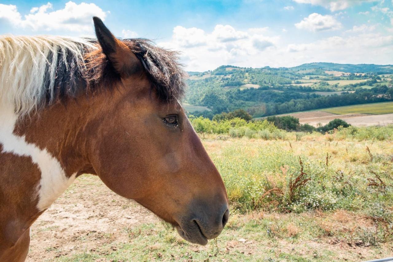 Agriturismo Goccia Di Luna Umbertide Buitenkant foto