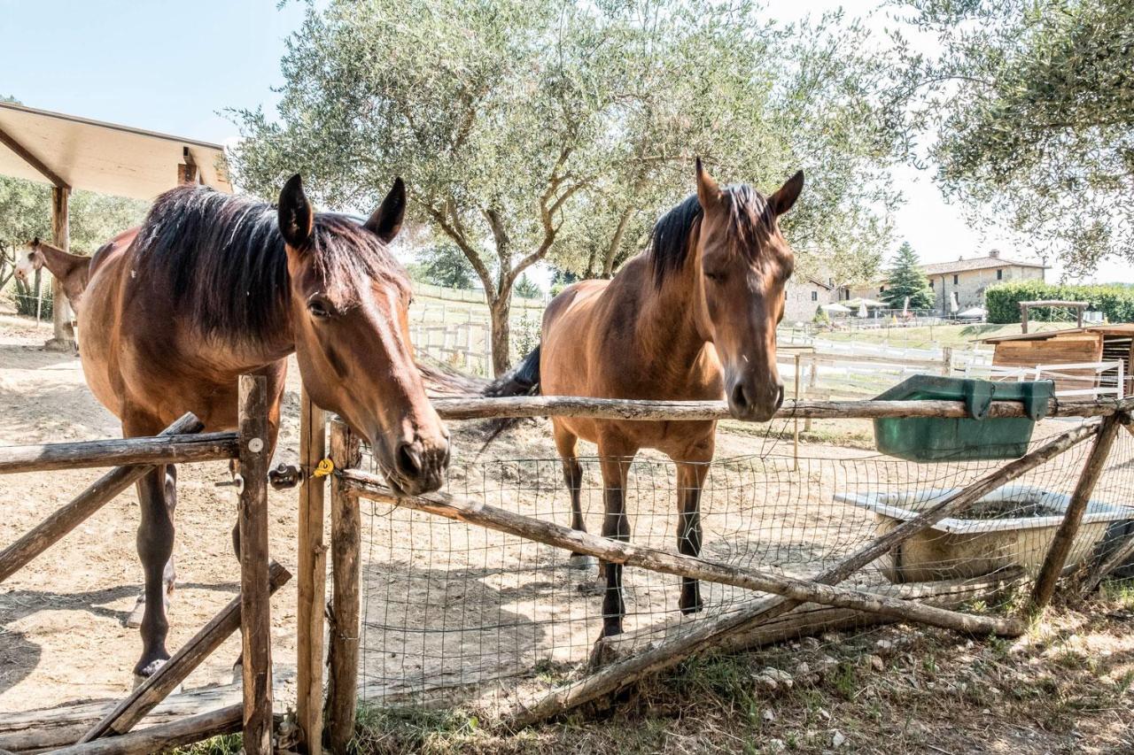 Agriturismo Goccia Di Luna Umbertide Buitenkant foto